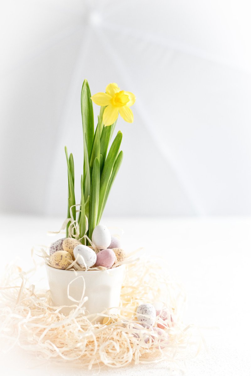 Learning English Language. Easter flowers picuture